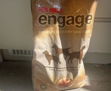 dog food