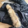 Canada Goose Image 4