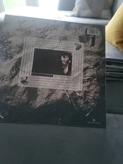 David Sylvian secret of the beehive uk1987 vinyl