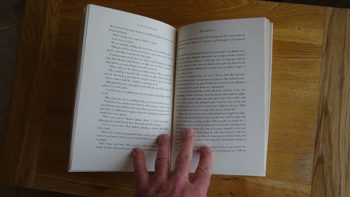 The Adulteress by Noelle Harrison.