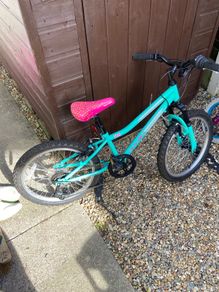 Fabulous 20 inch Zest Apollo bike, great condition.