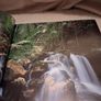Book on Rainforests Image 4