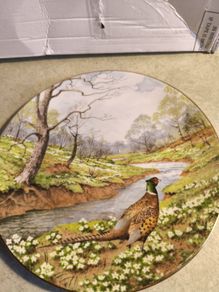Vintage Royal Doulton Waterside The Pheasant Collectors Plate FOR A HOLDER OR HANGING