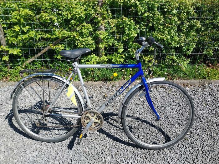 Gold Rush Road Bike