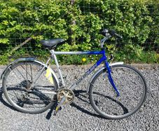 Gold Rush Road Bike
