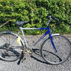 Gold Rush Road Bike
