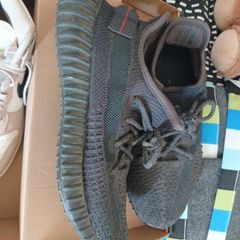 trainers