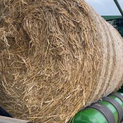 Barley Straw