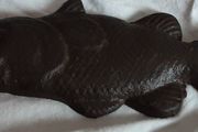 Cast metal fish bottle opener