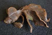 Bronze model of a koi carp.
