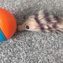 Moving Ferret like new barely used Image 2