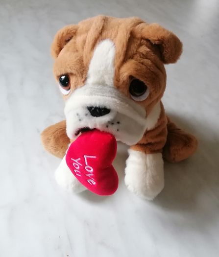 Soft Dog Plush