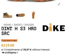 Safety Shoe