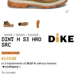 Safety Shoe