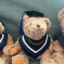 Graduation Teddy Bear Panda Capybara Plush Toy Image 4