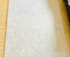Cream Rug 160x230cm