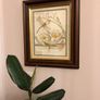 Edith Holden Framed Vintage Botanical Plate - July Country Diary of an Edwardian Lady (28.5x33.5cm) Image 2
