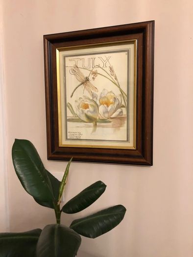 Edith Holden Framed Vintage Botanical Plate - July Country Diary of an Edwardian Lady (28.5x33.5cm)