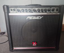 Peavey Envoy 110