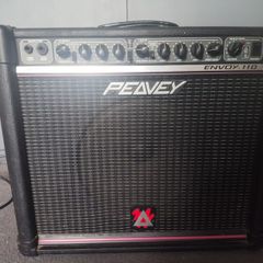 Peavey Envoy 110