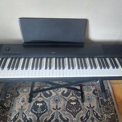 CDP-120 Casio Digital Piano