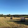 Hay Image 3