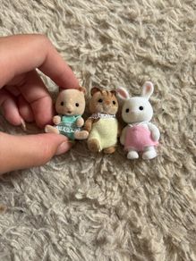 sylvanian