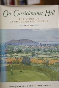 On Carrickmines Hill.