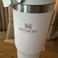 Stanley Classic Iceflow