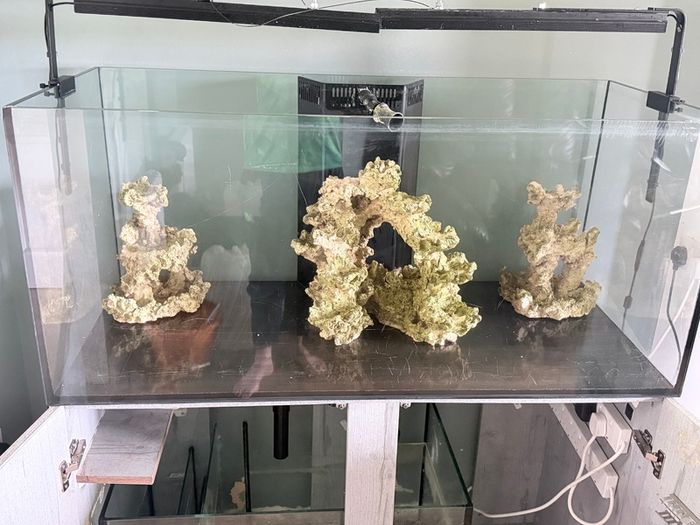 Fish tank