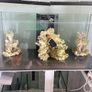 Fish tank Image 2