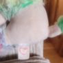 Retired Ty Rainbow the Poodle Beanie Boo 6" 18cms Plush Soft Toy Image 5