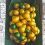2 Paintings on Canvas of Lemons and Chilli Peppers Image 2