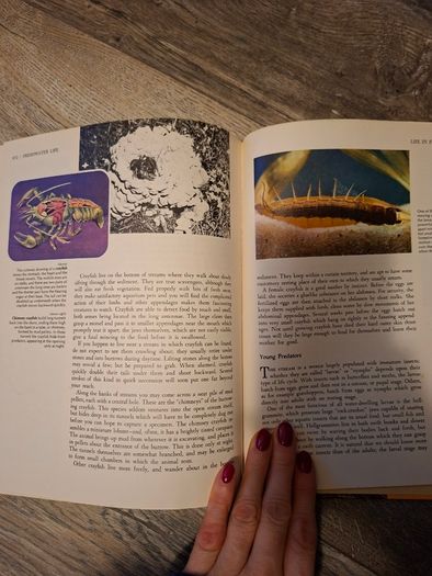 Illustrated Library of Natural Sciences -14 volume set