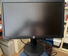 Monitor and Stand