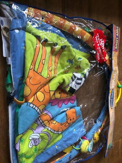 Baby gym/ play mat