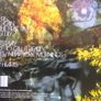 Corinne Bailey Rae - The Sea CD Image 2