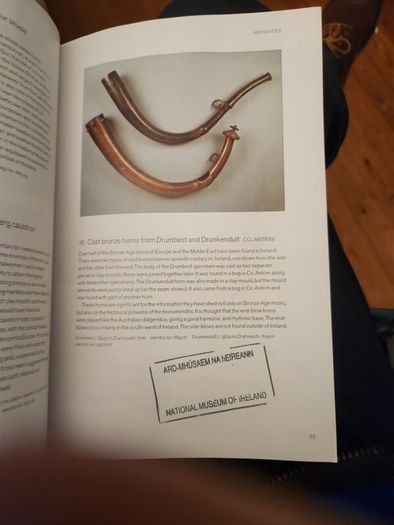 A Guide To The  National Museum Of Ireland. By Patrick   F. Wallace. Paperback In Good Condition.