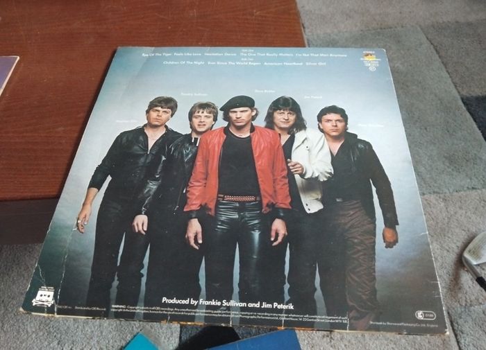 survivor vinyl