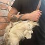 1 Look-y Charms Cyclops Plushie Bear Doll Eyeball Mischief Stuffed Animal Emo Monster Keyring Keychain Bag charm with a Crystal Heart Image 8