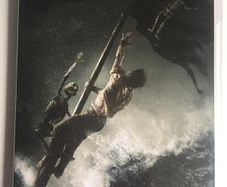 Black Sails - Season 2 (2015) [DVD TV Boxset]