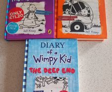 3 Diary of a Wimpy Kid books - The Deep End, The Meltdown, Long Haul