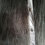 Urbancode London coat Genuine leather& faux fur New with tags Image 2