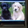 Sony 17inch PC Monitor Image 4