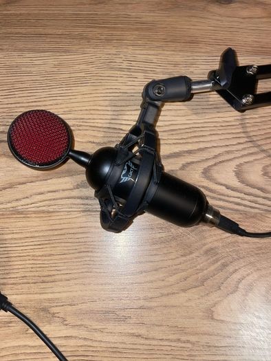 Microphone with arm