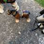 3 horse set Image 10