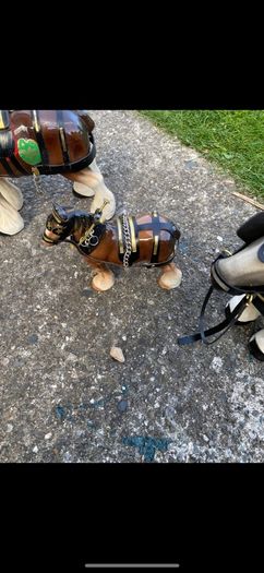 3 horse set