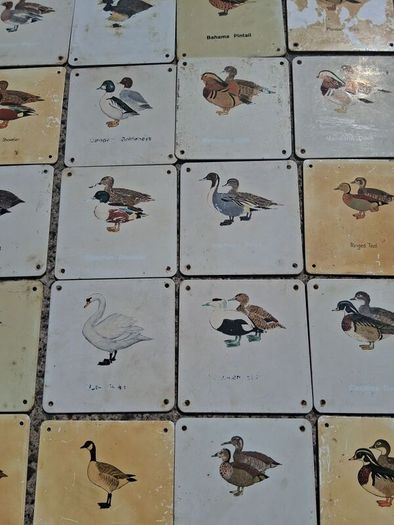 37 X Mid Century Avian Metal Display Plaques