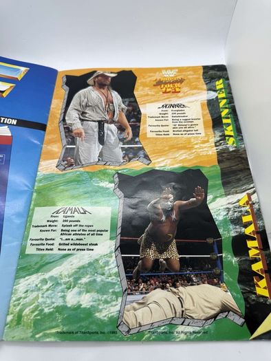 Wwe WWF European spring Tour 1993 Official souvenir Programme