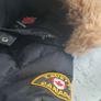 zavetti canada jacket Image 2